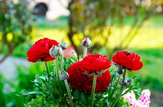 旧爱|11月下旬，月老眷顾，4星座真爱降临：余生漫漫长路，愿与卿共度