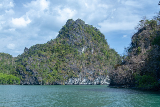 「」7月份横财不断，4属相大喜到，福运来，贵人相助，喜讯接二连三