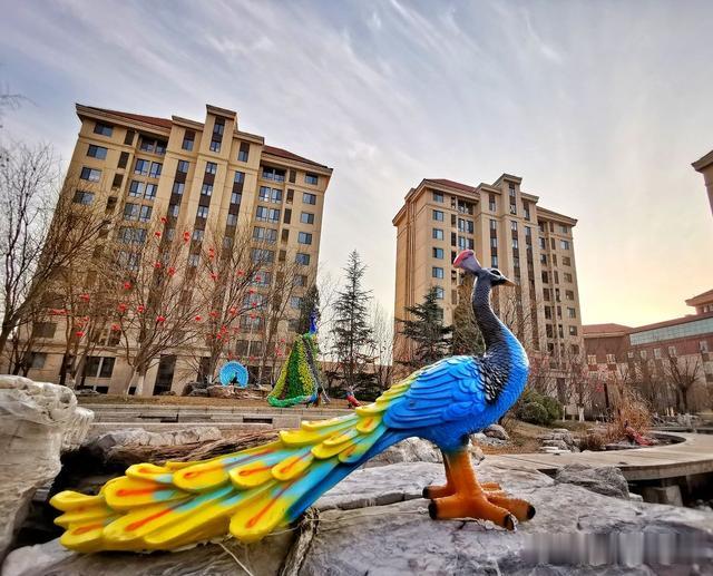 探盘！天津“销冠”的后开发时代，看网红社区养成记