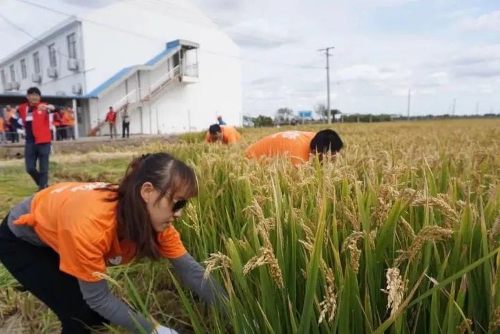 上海崇明|他六年前回崇创业，第一个月就瘦了40斤