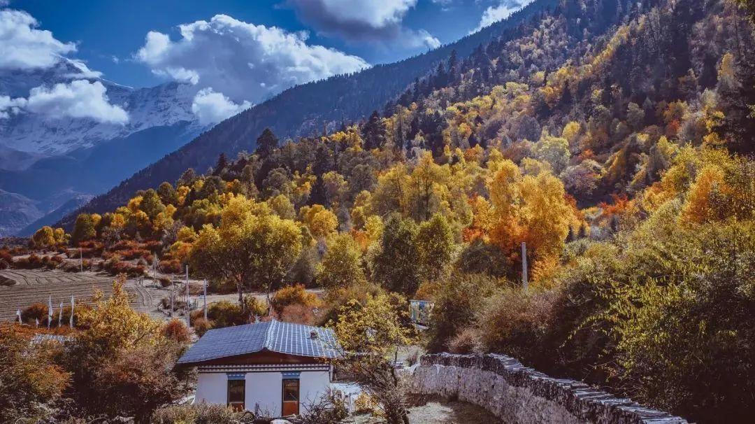 林芝|林芝一定要来两次,一次是春天,一次是秋天