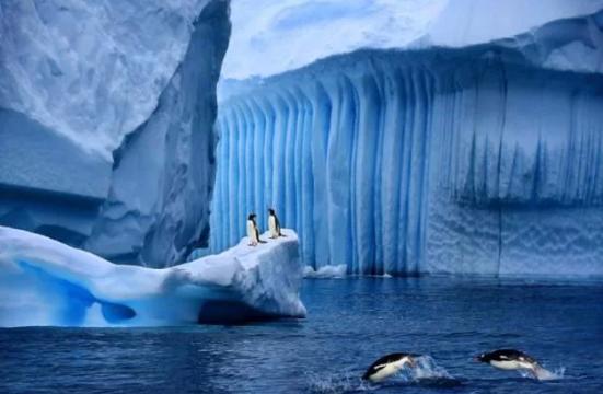 南极|假如南极冰川全部融化，中国哪个城市最先“失守”，没想到是这里