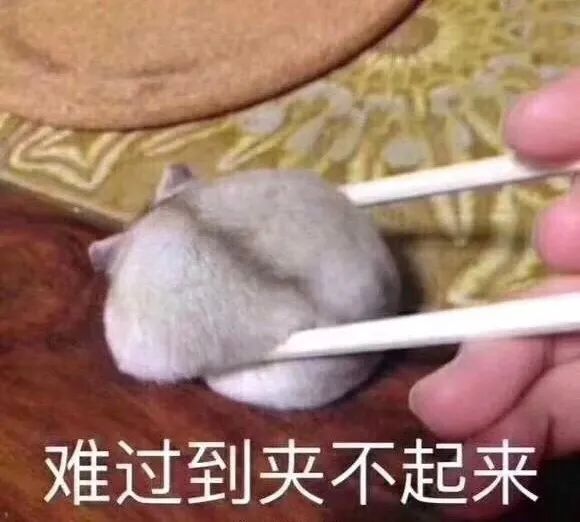『』五一假期有雨!有雨!有雨！还有一个坏消息告诉你