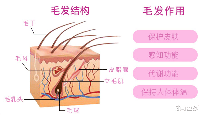 短发|还好有吴谨言的测评，让我的肌肤躲过一劫...