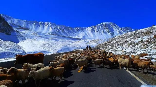 伊犁▲伊犁最低调的小县城，藏着最美的百里画廊，很多人还不知道！
