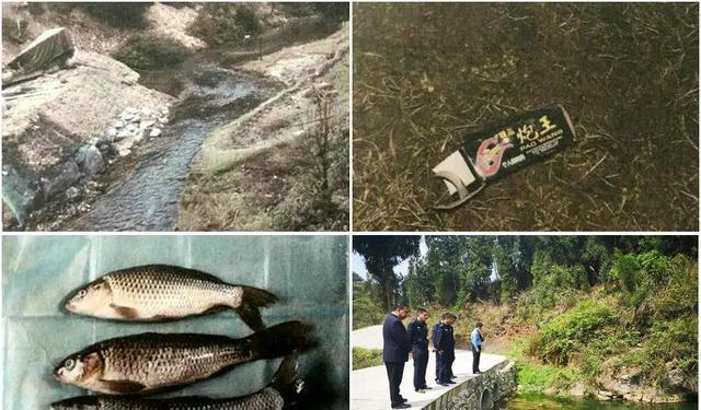 |赔22万条鱼苗?贵州数名男子药鱼,致22万条河鱼死亡