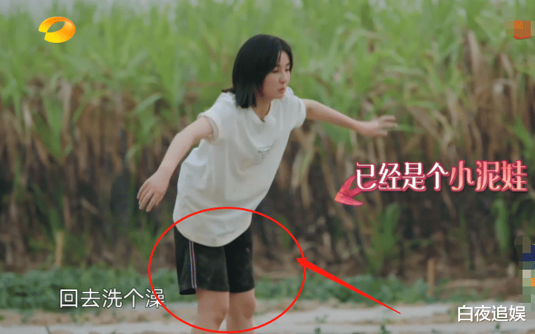 [张子枫]《向往4》嘉宾种瓜苗，镜头扫过张子枫的裤脚，是不是真干活很明显