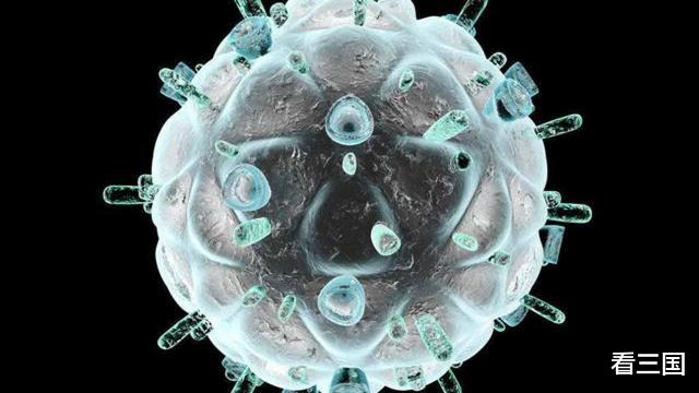 「黑猩猩」艾滋病毒来源于猩猩,第一个感染的人类,到底对猩猩做了啥?