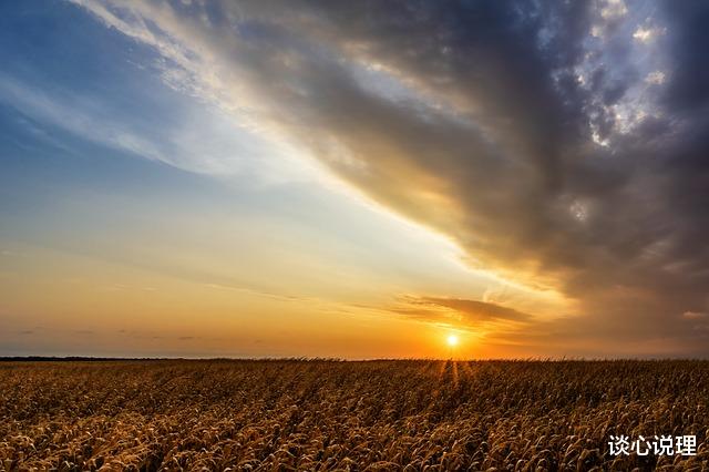 运势|两周后，情深方知意重，离别才知爱浓，旧爱回眸，携手再续前缘