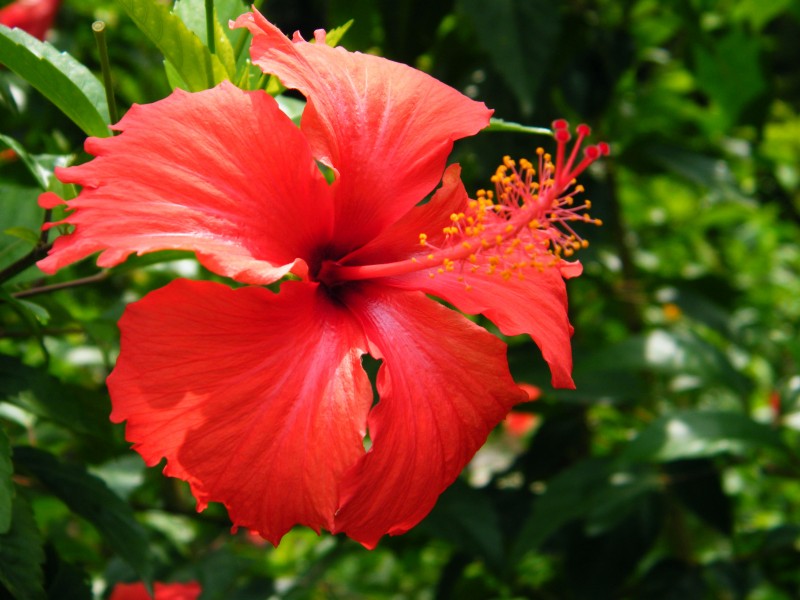 [生肖]下个月内，天若不老，姻缘回归，与前任成功复合的四大生肖