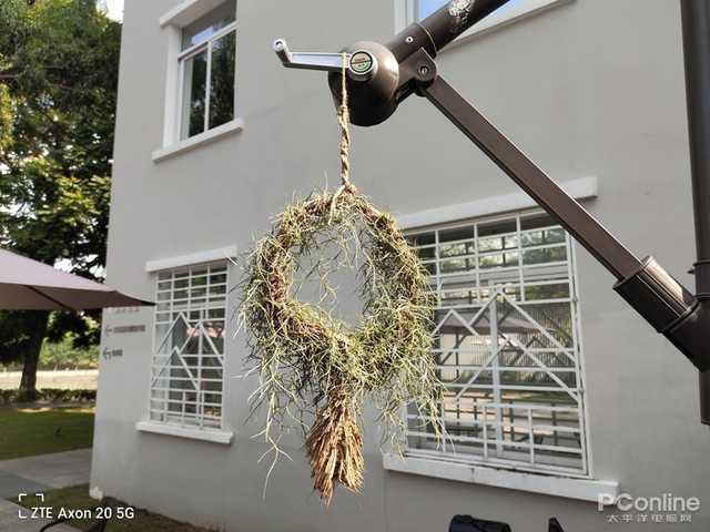 夏普|便宜一定没好货？这些5G性价比神机啪啪打脸