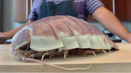 外星生物|“外星生物”时隔2年再次排便,引众人围观,科学家从中获得启发