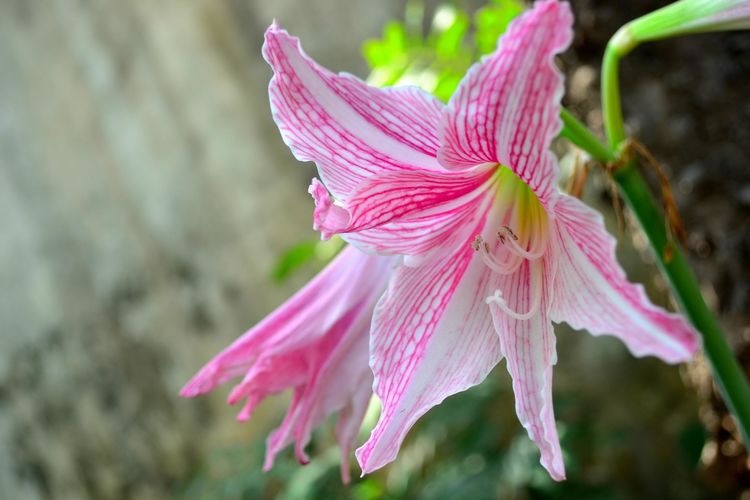 旧爱|9月份内，四大星座将有月老相助，与旧爱重归于好，旧情一点便燃