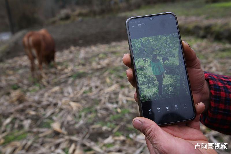 「自媒体」做自媒体能赚钱，那么平台为什么会给钱呢？看看原理是怎样的