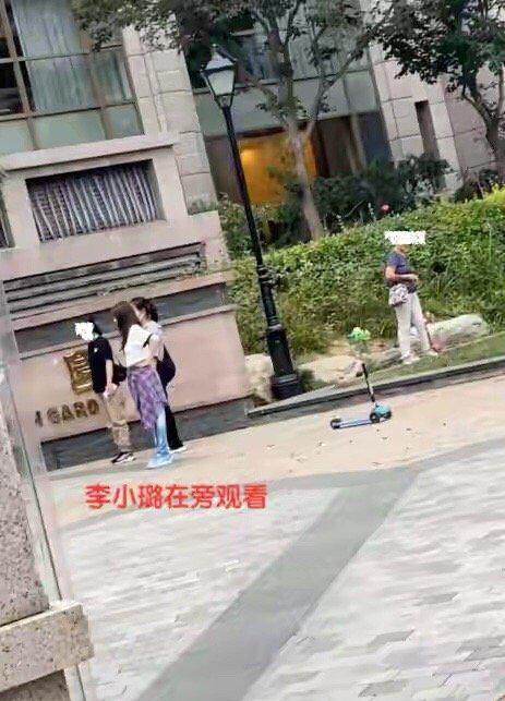 李小璐|贾乃亮乔欣恋情曝光？和李小璐复合无望，破镜终难重圆