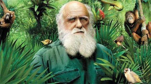 【】为何欧洲人有206块骨头，亚洲人只有204块？专家：与一处部位有关