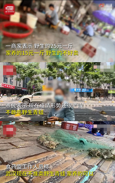 话晴空|武汉一菜市场明目张胆卖野味,官方介入调查,网友:这么快就忘了?