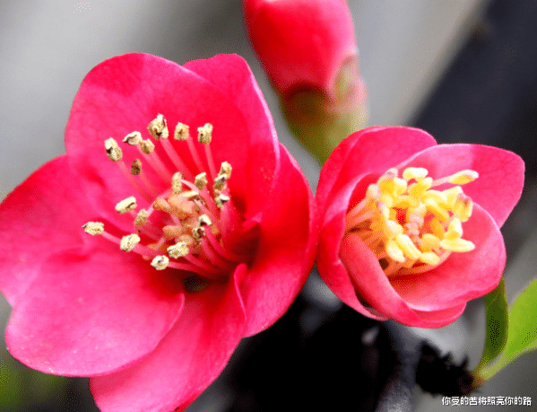 吉星|步入8月，吉星伴身，4属相苦尽甘来，鸿运当头照，财运攀升