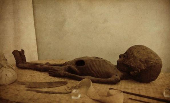 外星人|科学家发现900年前的奇怪头骨,疑似外星人和地球人的混血?