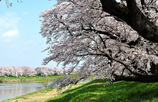 |7月底财运转旺，4属相横财天降，富贵袭来，事业生活双双顺利