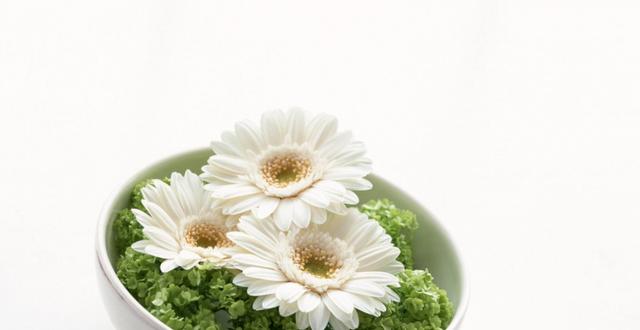 运势|8月底,运势一触即发,熬走霉运,3生肖麻布袋装钱,钞票八方到