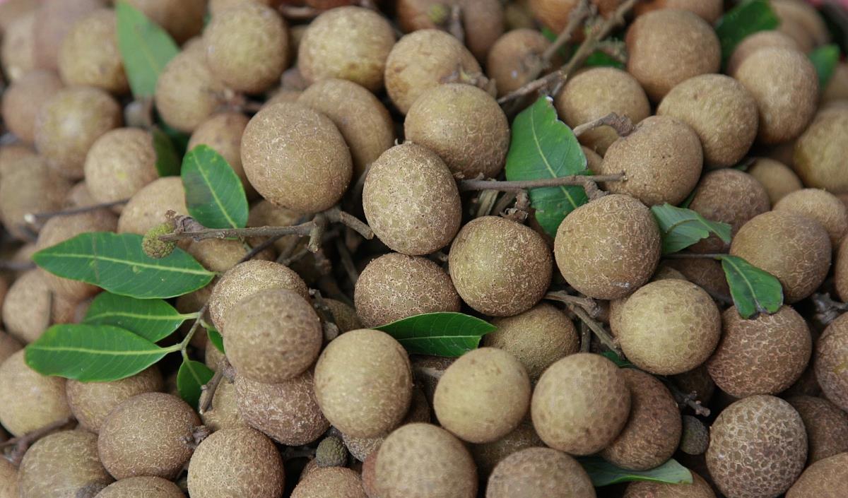 更年期|女性即将绝经，常把5类食物端上饭桌，保养子宫，平稳度过更年期