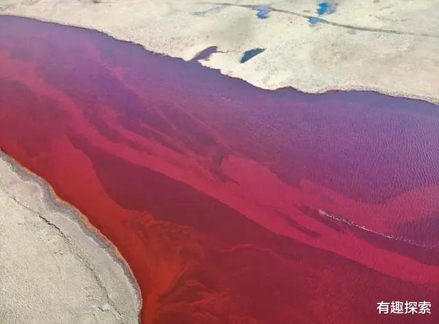 加利福尼亚州|美国加州突然升至51.7度,北极又一座冰山彻底化完,地球不退烧?