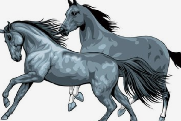 生肖|3天后，以下4生肖会遇见自己的贵人，多财运旺一生无忧！