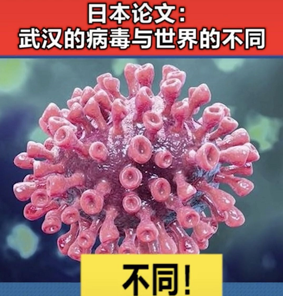 「冠状病毒」病毒来源新证据，“中国病毒”污名不攻自破