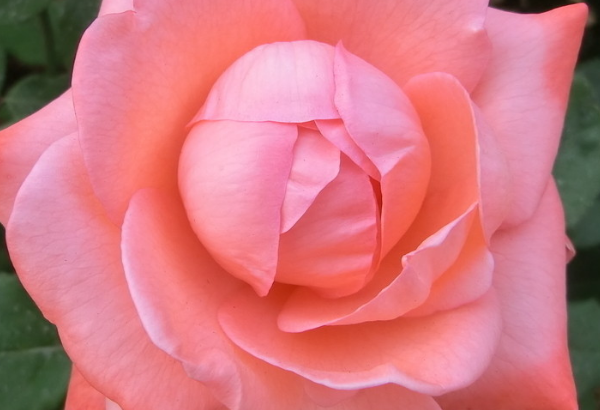 @未来15天贵人相助，4属相轻松得财，好运连绵不绝，前途不可限量