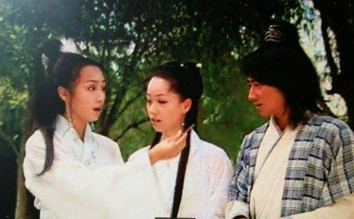 电视剧|这部很神奇的电视剧，男主女主早已都过气，女配角却火了23年！