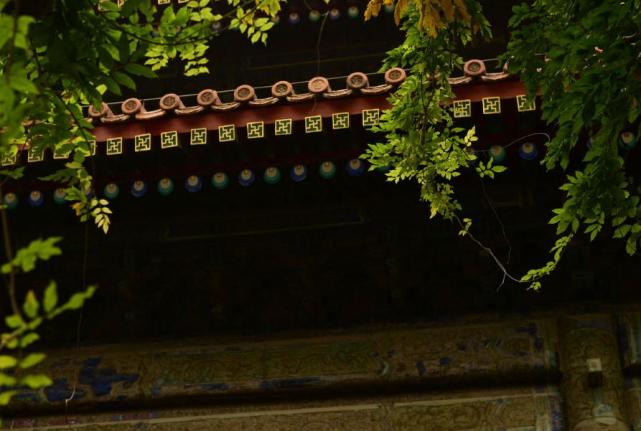 『吉星』在今年期间将会有喜事频传，生活吉星高照，财库越来越丰融的生肖