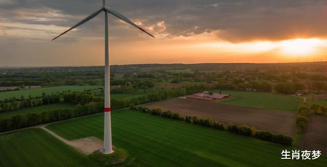 旧爱|8月，新欢旧爱找上门，桃花绽放，3生肖思念滚烫，期待爱情降临