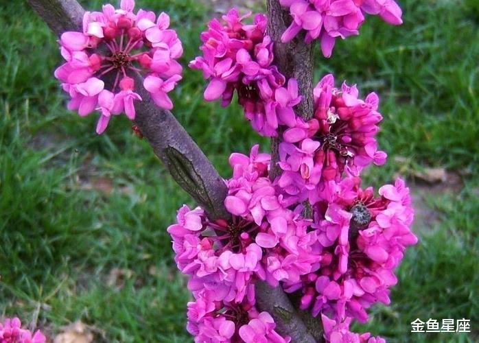 #生肖#6月30号财神上门送财，横财大发不停，收入翻10倍的3生肖