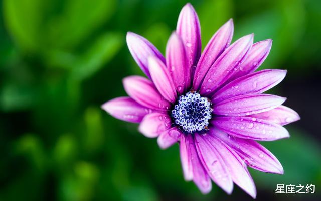 「天蝎座」4.27-5.3星座运势:双子头脑清醒,天蝎目标清晰,双鱼居安思危