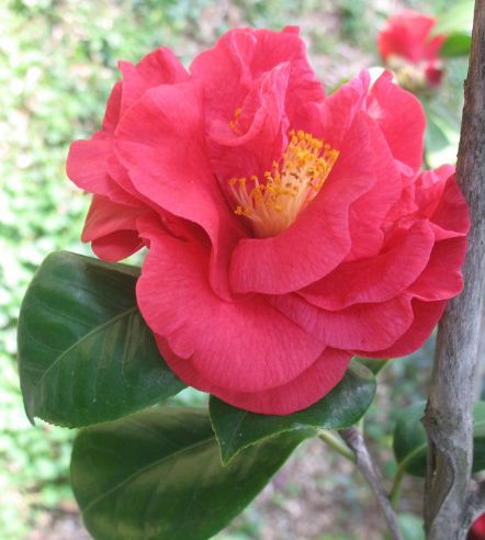 天秤座|10月中旬，4属相好运连连，财运大涨，事业顺心，吉祥如意