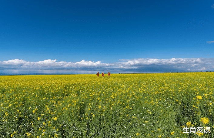 天蝎座|11月，渐行渐远，爱在何方，思念滚烫，此生迷恋前任，一生无悔