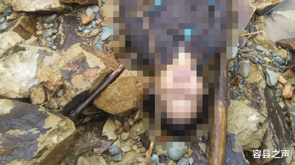 容县之声|广西一村落河边发现一名女性，已经确认死亡