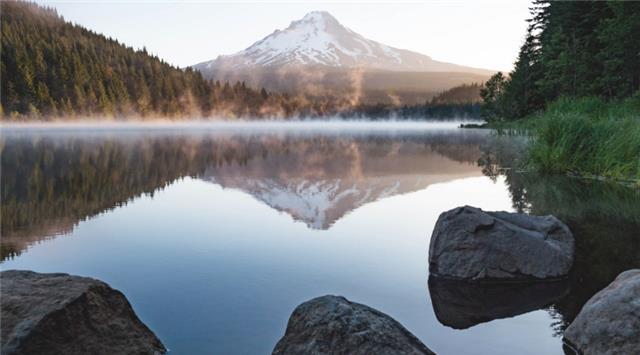 狮子座|领导力很强的3星座，能让别人服从安排，办事又快又好