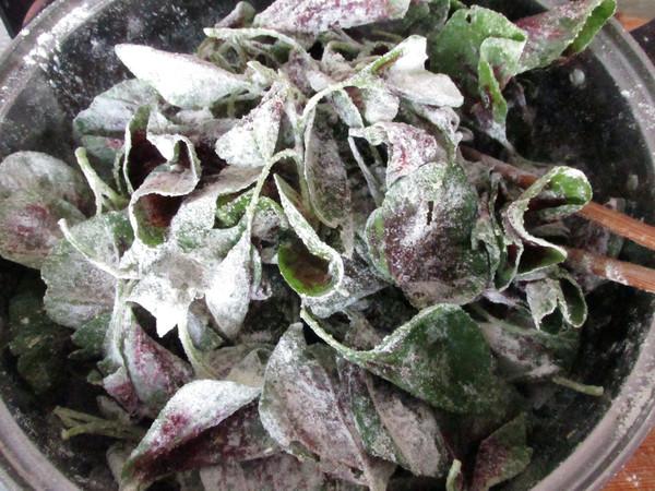 苋菜▲6月，多吃这菜，气血足身体好，2元一斤，孩子多吃长高个