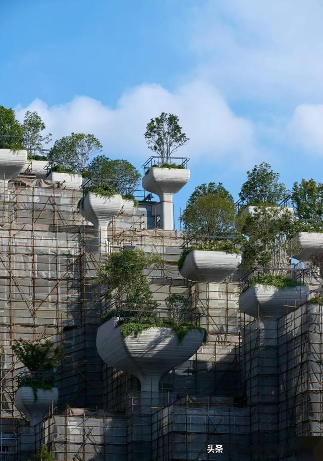 上海又出奇葩建筑，要在房子上种1000棵树，即将竣工