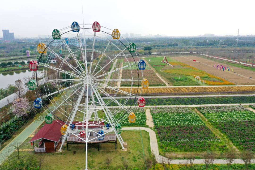 玛丽莲·曼森|乡野丰收节+稻梦音乐节嗨爆全场！里水乡村又有新点玩，期待！