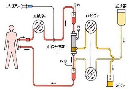 伪科学:抗衰老方法大揭秘!抗衰是不是伪科学,不死药“NMN”大揭秘!