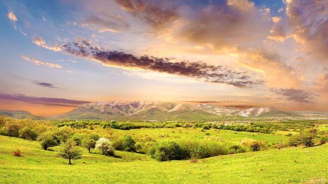 「十二星座」未来50天财神庇佑，正财顺偏财旺，横财不断，瞬间暴富的生肖