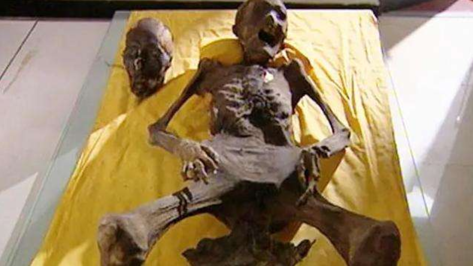 电影|清代女子难产昏厥,被误认已死入棺下葬,百年后棺中景象凄惨