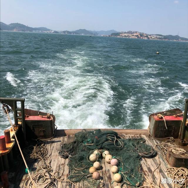 马鲛鱼|海边人买鱼，专挑这6种，最后一种，它的鱼肝被评为世界50大美食