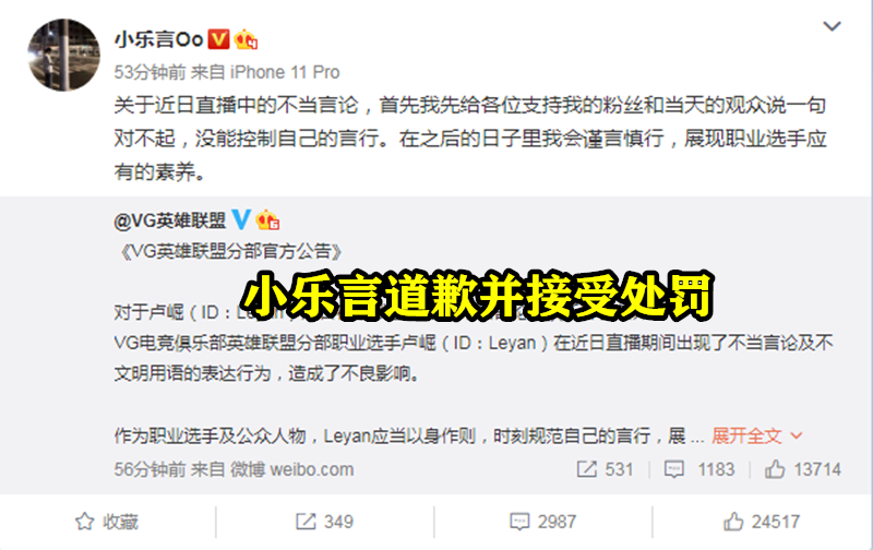 小乐言|被罚十万！继“忘恩负义”事件后，小乐言再出事故，不仅停播还被罚巨款