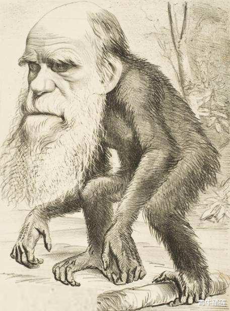 刘伯温|刘伯温传奇预言，“十愁难过猪鼠年”，大灾大难如何逢凶化吉