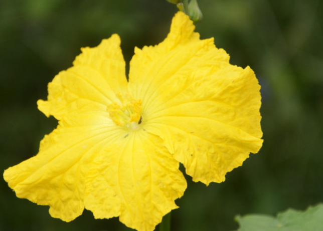 【生肖】十二生肖中，6月上旬，财神庇佑，贵人相助，富得流油3生肖