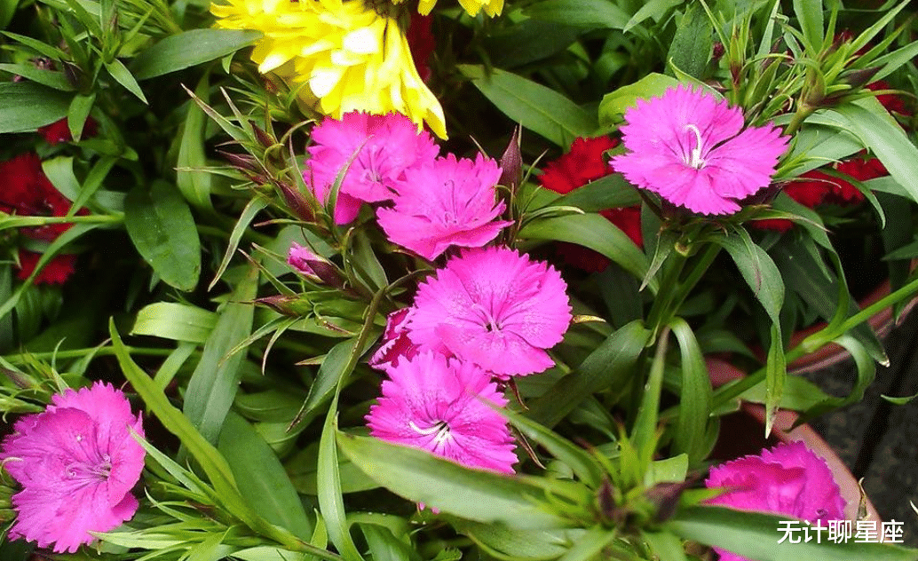 |三天后，默默付出的这4个星座，将受到贵人的关注，前途似锦